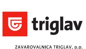 Zavarovalnica Triglav, d.d. Video conferencing project
